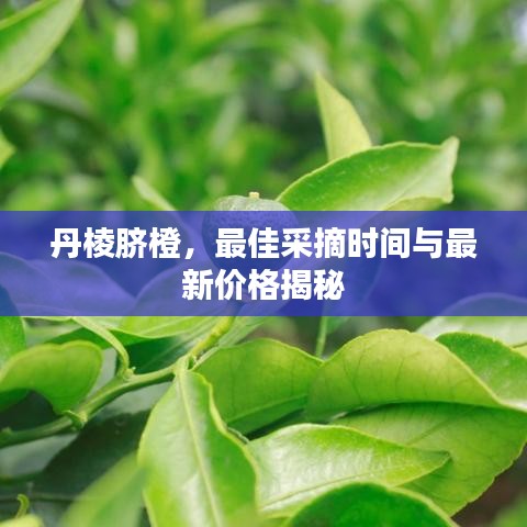 2025年5月19日 第45页