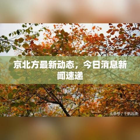 京北方最新动态，今日消息新闻速递