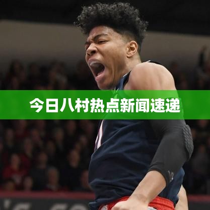 今日八村热点新闻速递