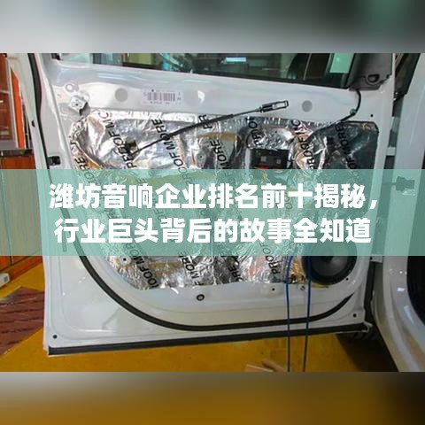 潍坊音响企业排名前十揭秘，行业巨头背后的故事全知道