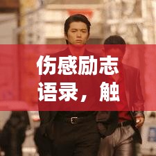 伤感励志语录，触动心灵的瞬间瞬间启迪人生