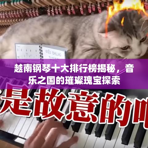 越南钢琴十大排行榜揭秘，音乐之国的璀璨瑰宝探索