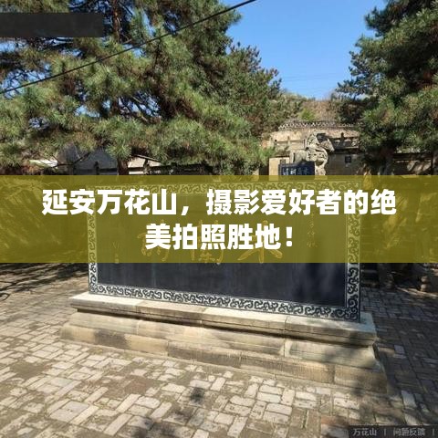 延安万花山，摄影爱好者的绝美拍照胜地！