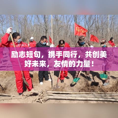励志短句，携手同行，共创美好未来，友情的力量！