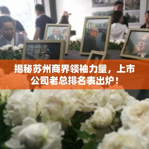 揭秘苏州商界领袖力量，上市公司老总排名表出炉！
