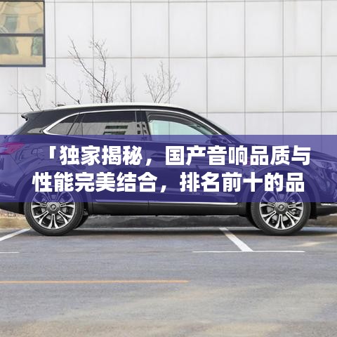 「独家揭秘，国产音响品质与性能完美结合，排名前十的品牌大盘点！」