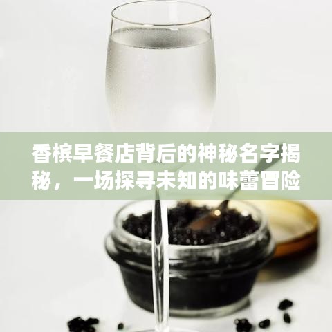 香槟早餐店背后的神秘名字揭秘，一场探寻未知的味蕾冒险之旅