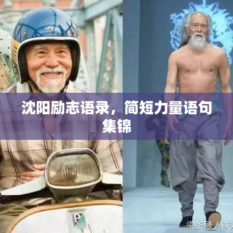 沈阳励志语录，简短力量语句集锦