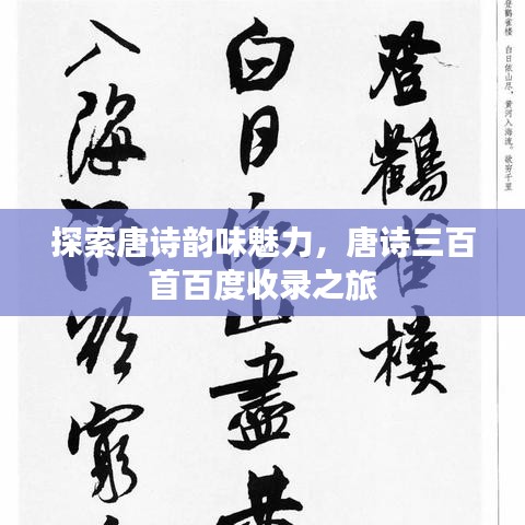 探索唐诗韵味魅力，唐诗三百首百度收录之旅