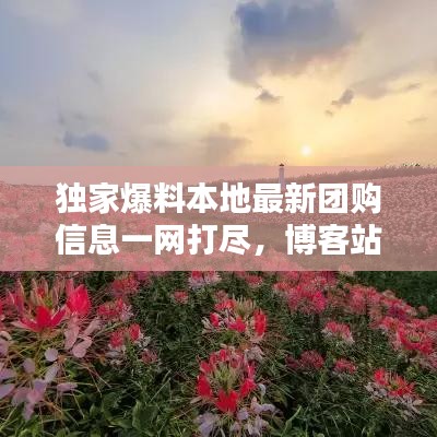 独家爆料本地最新团购信息一网打尽，博客站带你轻松找到优惠！