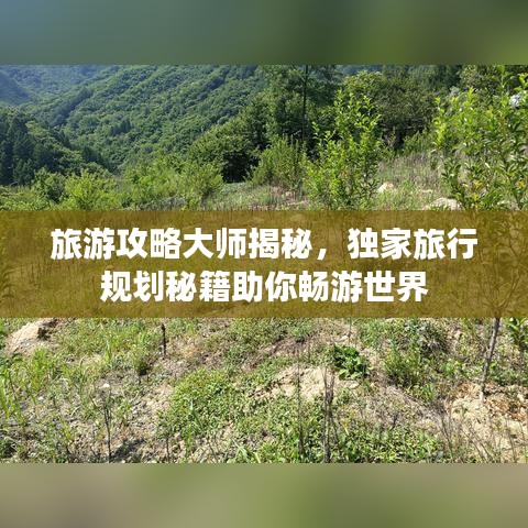 旅游攻略大师揭秘，独家旅行规划秘籍助你畅游世界