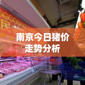 南京今日猪价走势分析