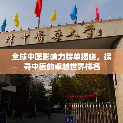 全球中医影响力榜单揭晓，探寻中医的卓越世界排名