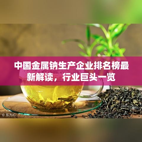 中国金属钠生产企业排名榜最新解读，行业巨头一览