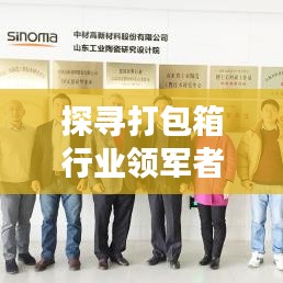 探寻打包箱行业领军者排名榜！