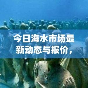 今日海水市场最新动态与报价，洞悉海洋经济的实时趋势