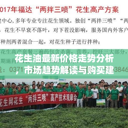花生油最新价格走势分析，市场趋势解读与购买建议