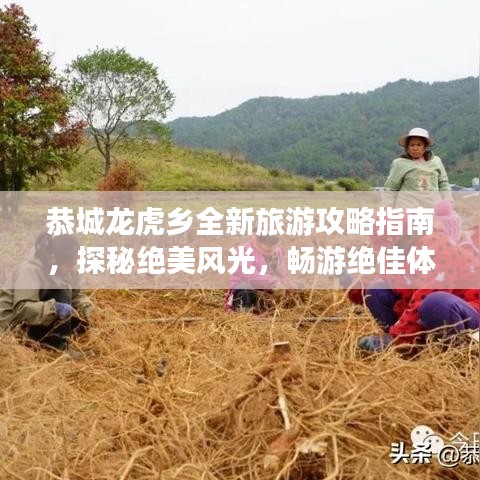 恭城龙虎乡全新旅游攻略指南，探秘绝美风光，畅游绝佳体验！