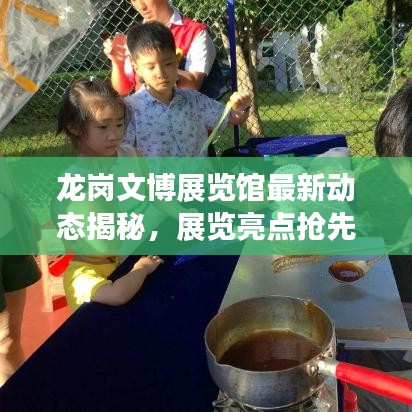 龙岗文博展览馆最新动态揭秘，展览亮点抢先看！