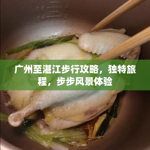 广州至湛江步行攻略，独特旅程，步步风景体验