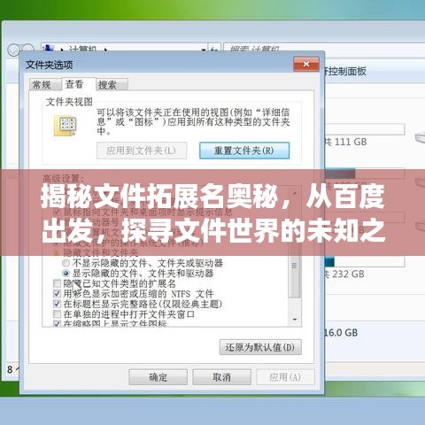 揭秘文件拓展名奥秘，从百度出发，探寻文件世界的未知之旅
