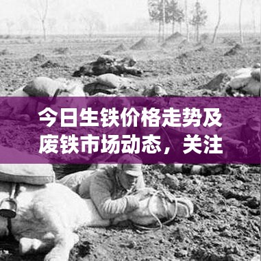 今日生铁价格走势及废铁市场动态，关注焦点热议话题