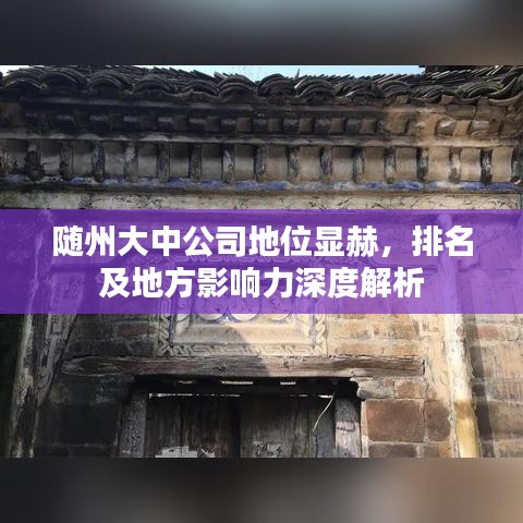 随州大中公司地位显赫，排名及地方影响力深度解析