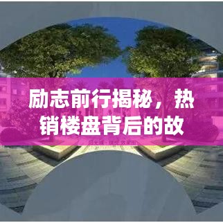 励志前行揭秘，热销楼盘背后的故事与智慧启示