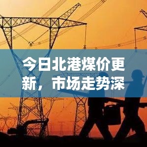 今日北港煤价更新，市场走势深度解析与影响因素探讨