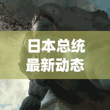 日本总统最新动态揭秘，深度解读与探讨