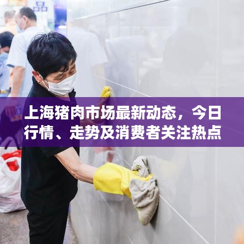 上海猪肉市场最新动态，今日行情、走势及消费者关注热点