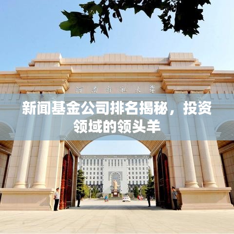 新闻基金公司排名揭秘，投资领域的领头羊