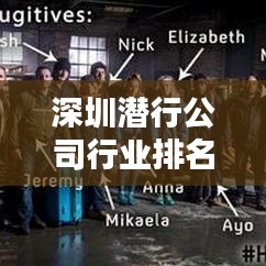 深圳潜行公司行业排名揭秘，探寻行业领军者的步伐与足迹！