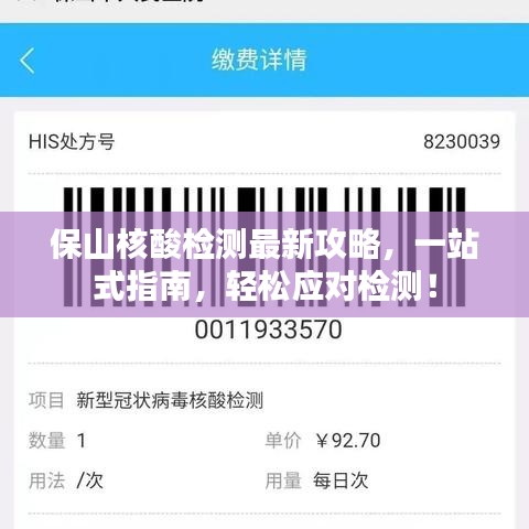 保山核酸检测最新攻略，一站式指南，轻松应对检测！