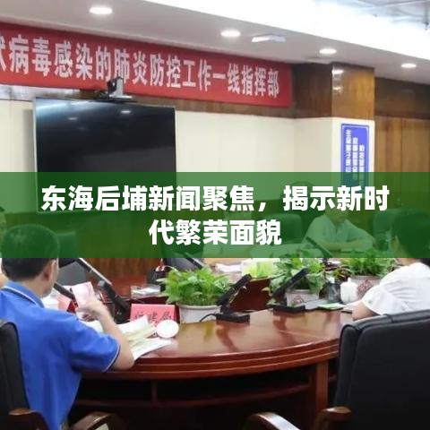 东海后埔新闻聚焦，揭示新时代繁荣面貌