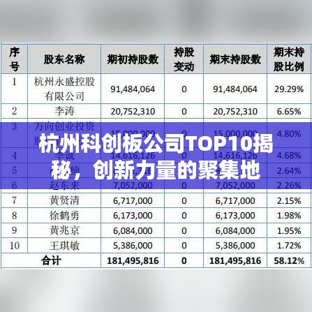 杭州科创板公司TOP10揭秘，创新力量的聚集地