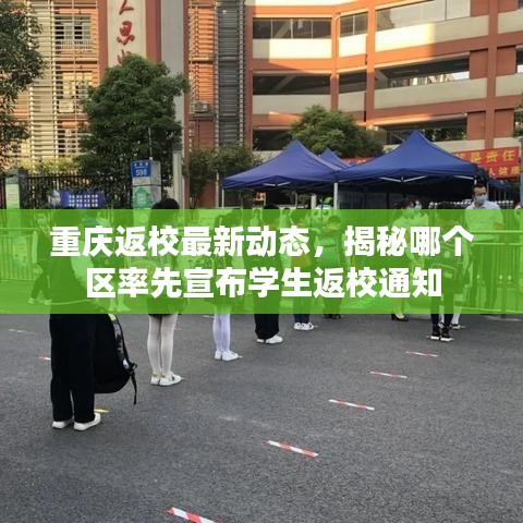 重庆返校最新动态，揭秘哪个区率先宣布学生返校通知