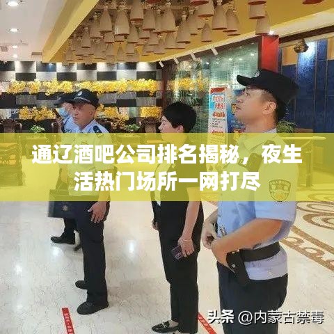 通辽酒吧公司排名揭秘，夜生活热门场所一网打尽