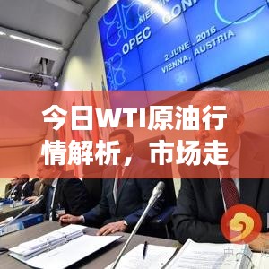 今日WTI原油行情解析，市场走势深度分析与趋势预测