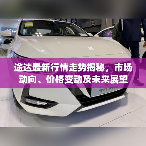 途达最新行情走势揭秘，市场动向、价格变动及未来展望