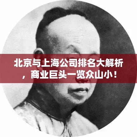 北京与上海公司排名大解析，商业巨头一览众山小！
