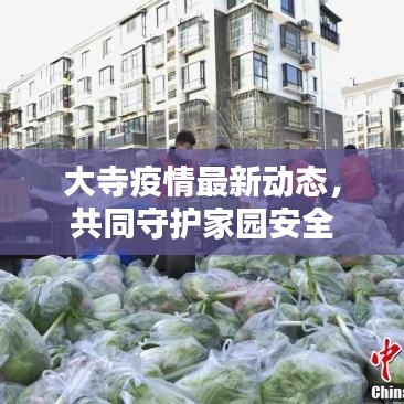 大寺疫情最新动态，共同守护家园安全