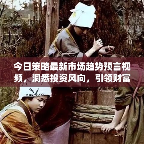 今日策略最新市场趋势预言视频，洞悉投资风向，引领财富增长之路