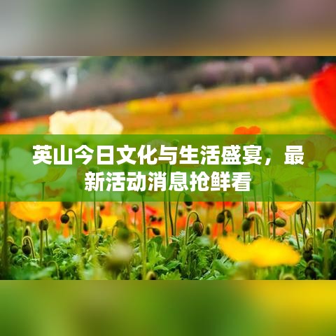 英山今日文化与生活盛宴，最新活动消息抢鲜看