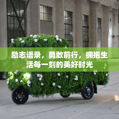 励志语录，勇敢前行，拥抱生活每一刻的美好时光