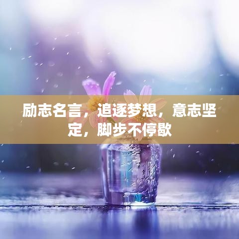 励志名言，追逐梦想，意志坚定，脚步不停歇