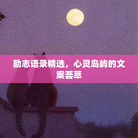 励志语录精选，心灵岛屿的文案荟萃