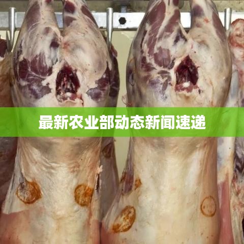 最新农业部动态新闻速递