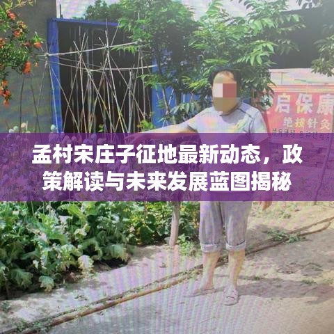 孟村宋庄子征地最新动态，政策解读与未来发展蓝图揭秘