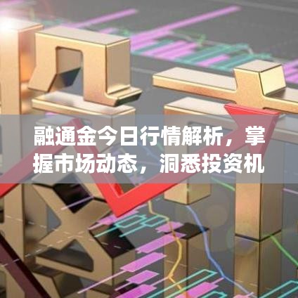 融通金今日行情解析，掌握市场动态，洞悉投资机遇